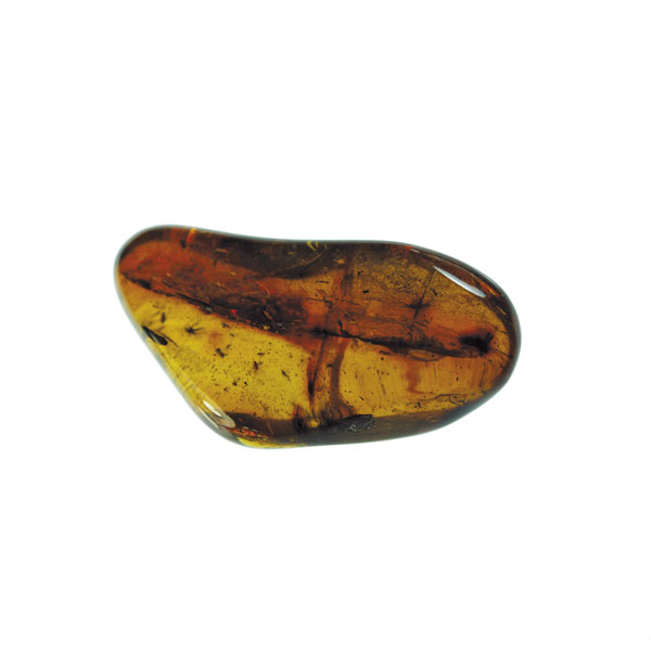 Amber, fossil, resin, baltic, polished, inserts, insects, fossilized, eocene