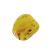 Amber, fossil, resin, baltic, polished, inserts, insects, fossilized, eocene