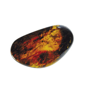 Amber, fossil, resin, baltic, polished, inserts, insects, fossilized, eocene