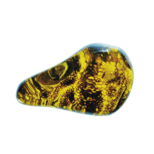 Amber, fossil, resin, baltic, polished, inserts, insects, fossilized, eocene